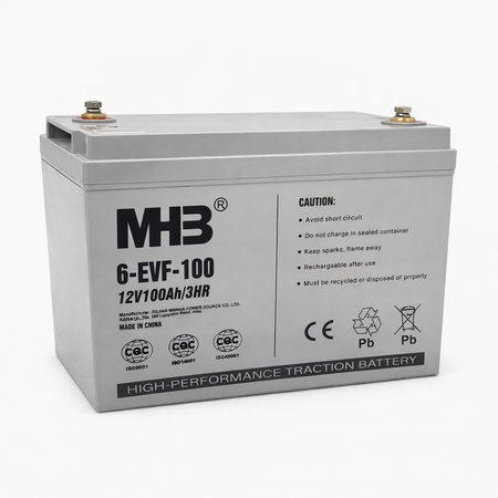 6-EVF-100 Deep Cycle EV Battery (12V 100Ah) - Battery World Vancouver 
